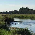 Ved Kongeaen