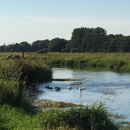 Ved Kongeaen