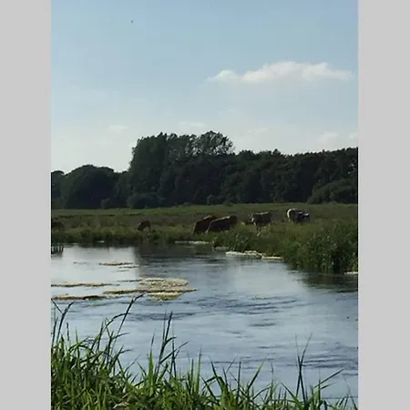 Apartamento Ved Kongeaen Ribe