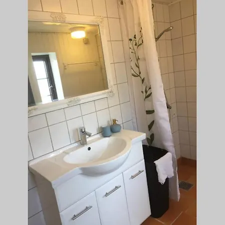 Ved Kongeaen *